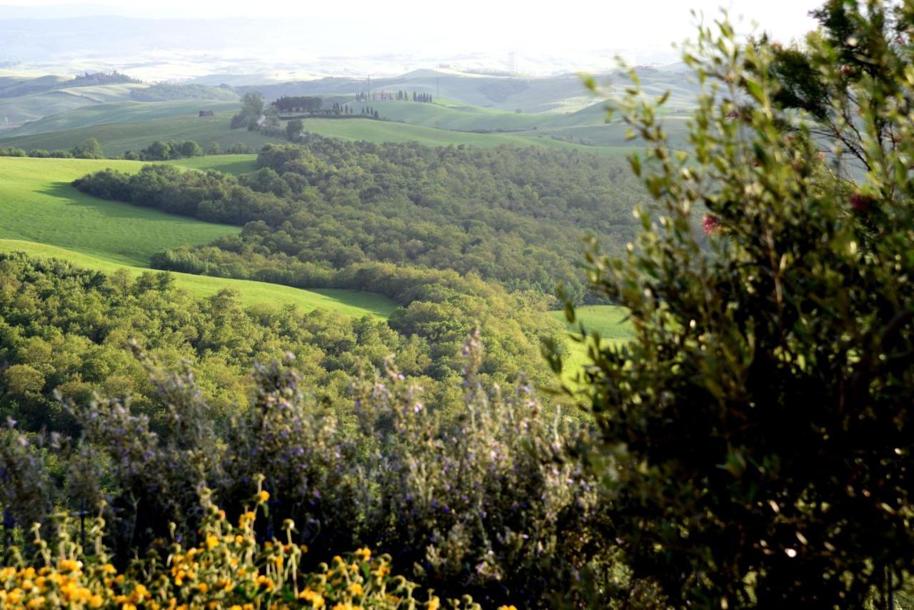 Villa Ginevra-Villa Indipendente-Crete Senesi-Tuscany Siena Eksteriør bilde