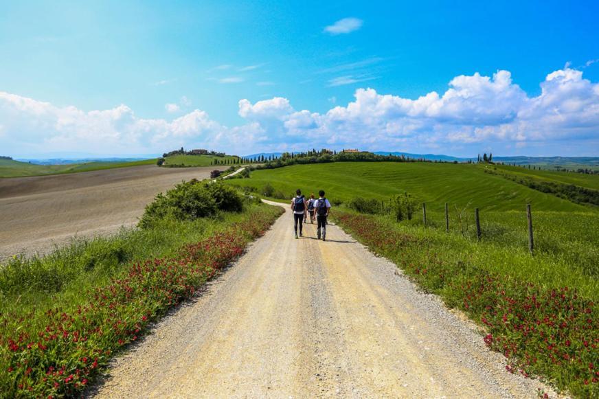 Villa Ginevra-Villa Indipendente-Crete Senesi-Tuscany Siena Eksteriør bilde